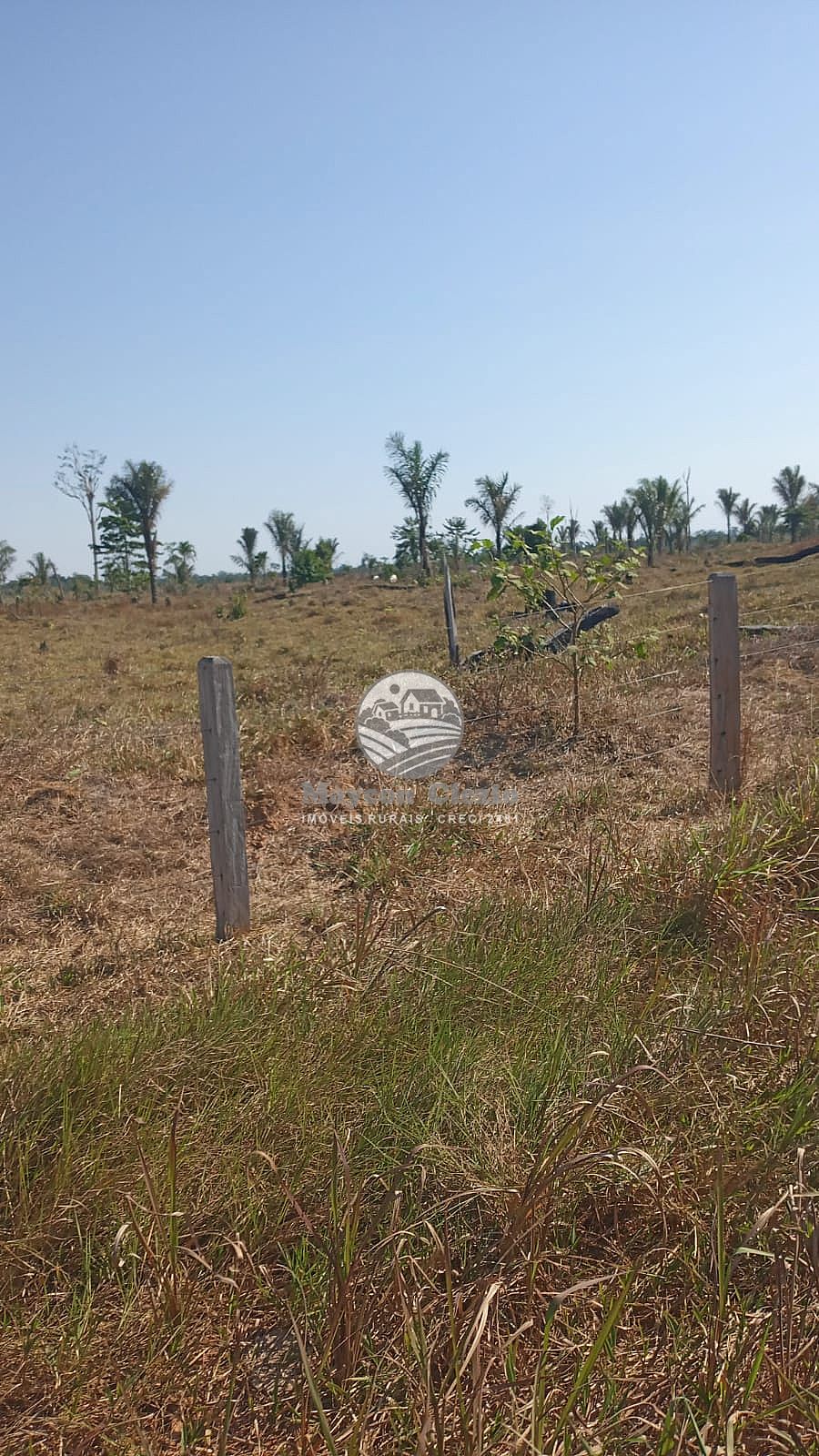 Sítio, 798000 m² - Foto 3