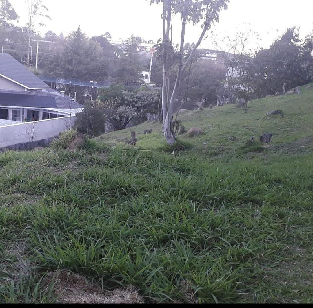 Terreno Barueri  Residencial Tambor  Tambor Residencial Um